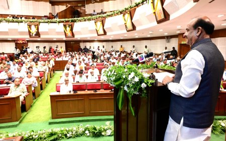 सरकार और संसदीय समितियां एक दूसरे की पूरक हैं - लोकसभा अध्यक्ष ओम बिरला