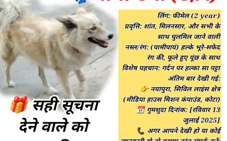 कोटा से मानवता की पुकार:क्या आपने टफ़ी को देखा है?