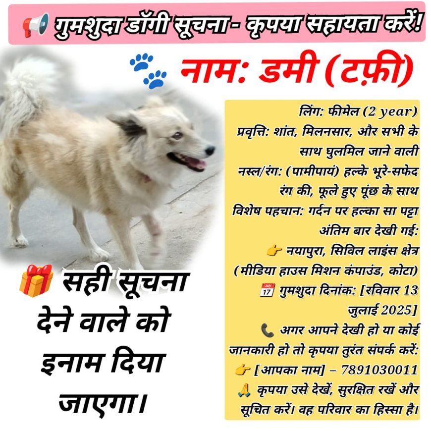 कोटा से मानवता की पुकार:क्या आपने टफ़ी को देखा है?