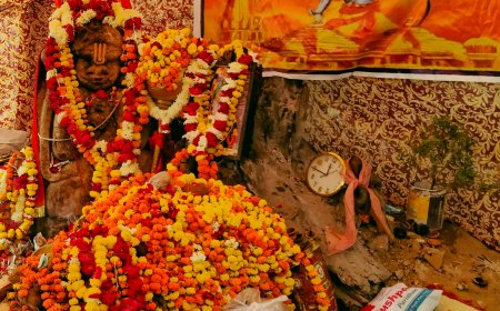 कोटा में बालाजी की आस्था का बड़ा चमत्कार: राम दरबार के प्रांगण में जड़ के बीच से प्रकट हुई प्राचीन प्रतिमा